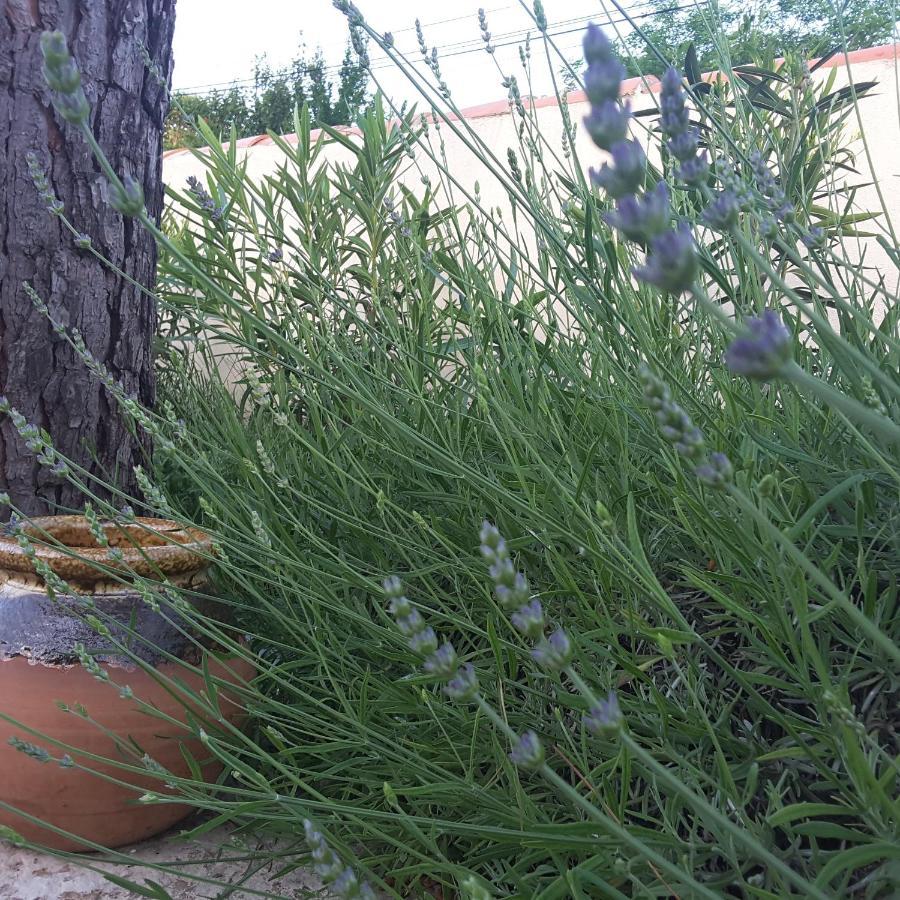 Philoxenia Acomodação com café da manhã Pourrieres Exterior foto